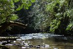 16-1-Sun-River-Locations_Tests3911